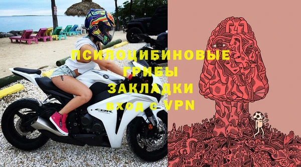 ALPHA PVP Верея